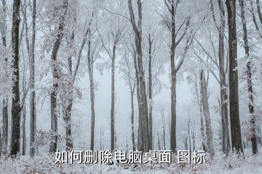 象棋垃圾圖標怎么解決...
